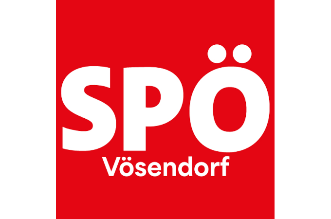 logo-team-voesendorf